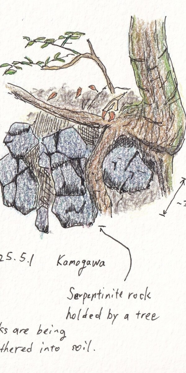 蛇紋岩と枕状溶岩のイラスト